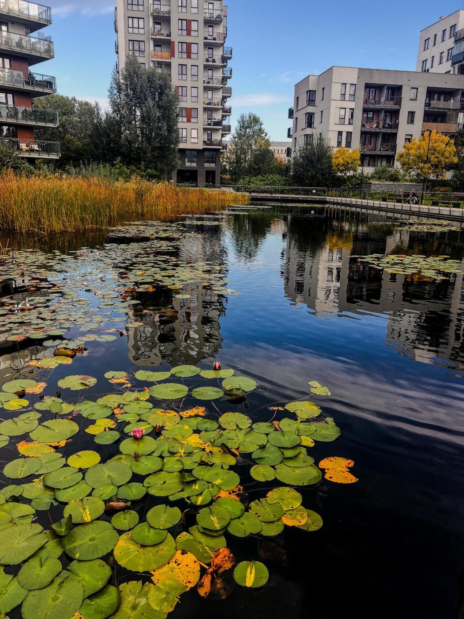 Lake Park Apartament With Free Parking Airport Netflix Leilighet Warszawa Eksteriør bilde